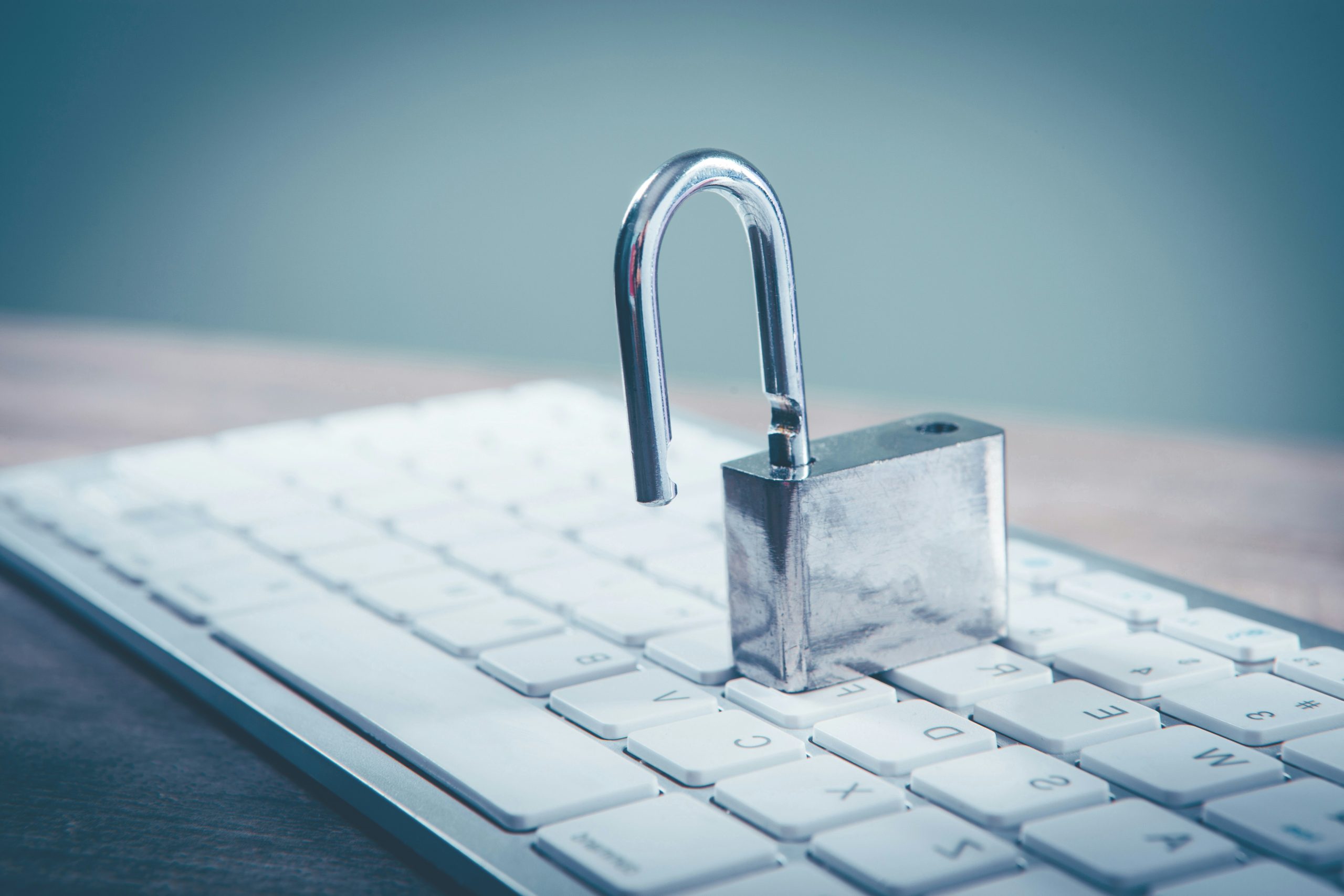 The human firewall: Why employee awareness is your strongest defense
